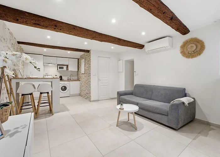 公寓 La Pompe - Climatise Proche De La 昂蒂布